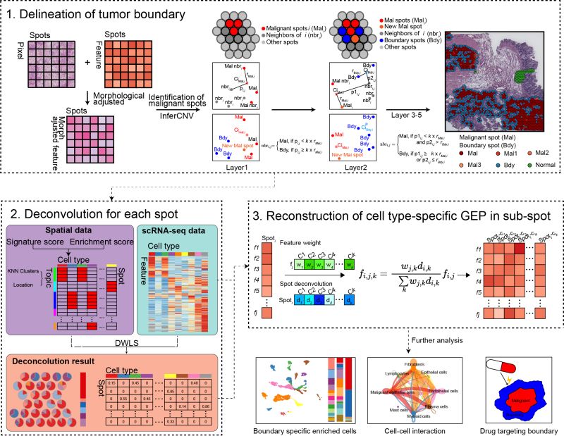 Github Yelab2020 Cottrazm Construct Tumor Transition Zone - Download Professional Light Photo | Full HD